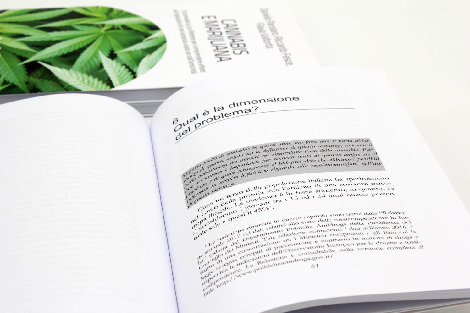 Libro-FrancoAngeli-Cannabis-IMG_8107