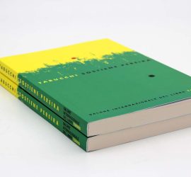 Sostiene Pereira, Un libro tante scuole