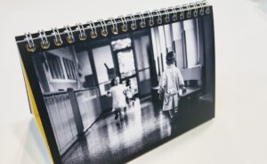 Calendario Geca 2026 La dolcezza, ovunque